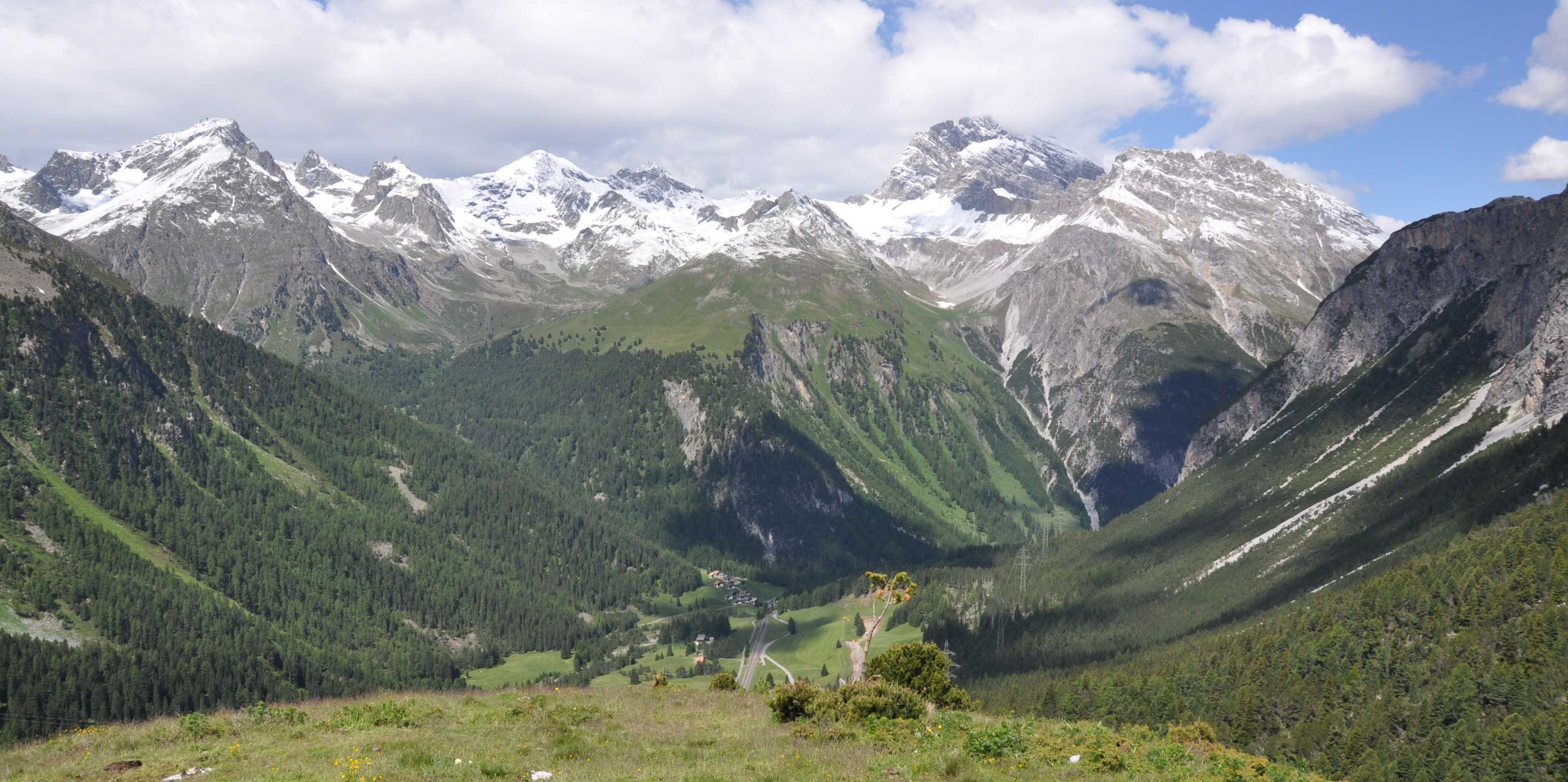 mount