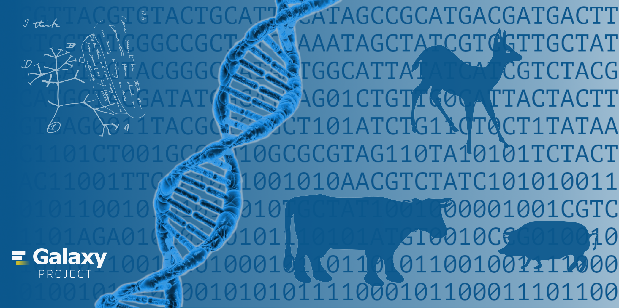 Functional Genomics